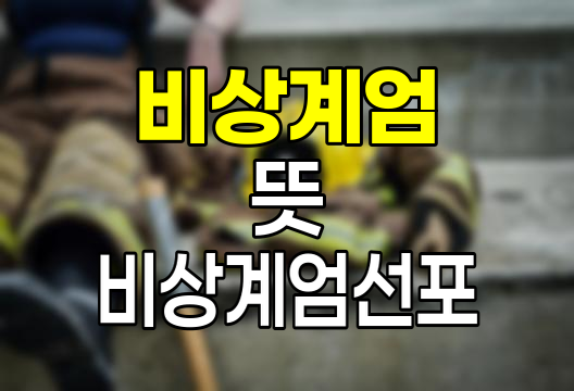 비상계엄이란?