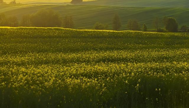 색동저고리 한복 유래 의미
