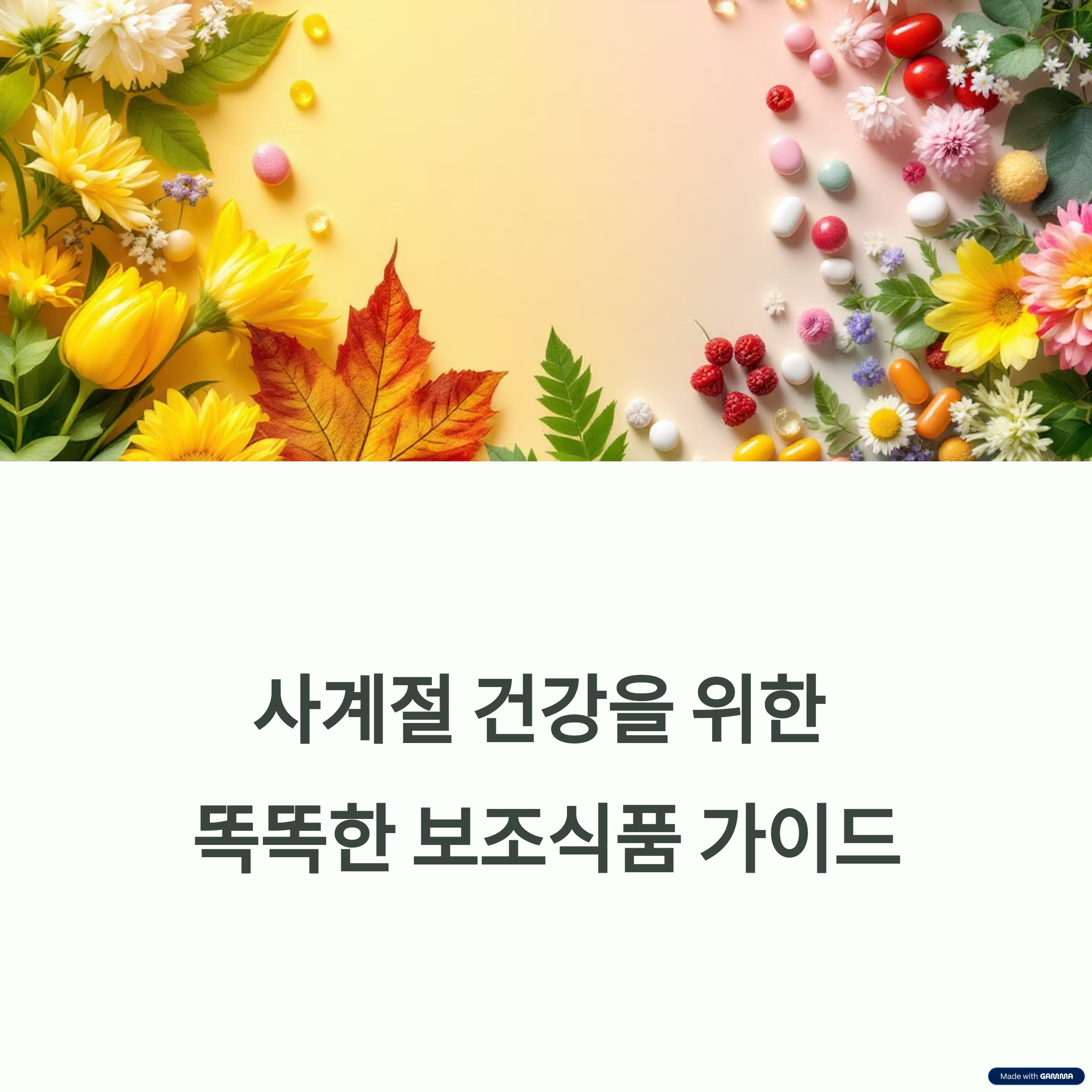 건강 보조식품 정리 1