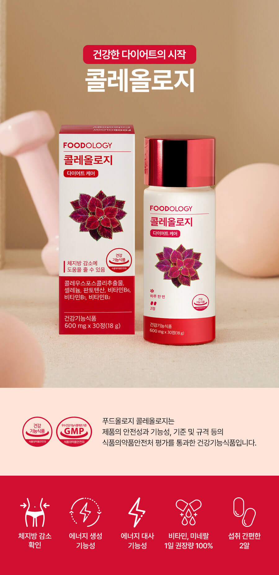 다이어트 보조제 순위 TOP 10