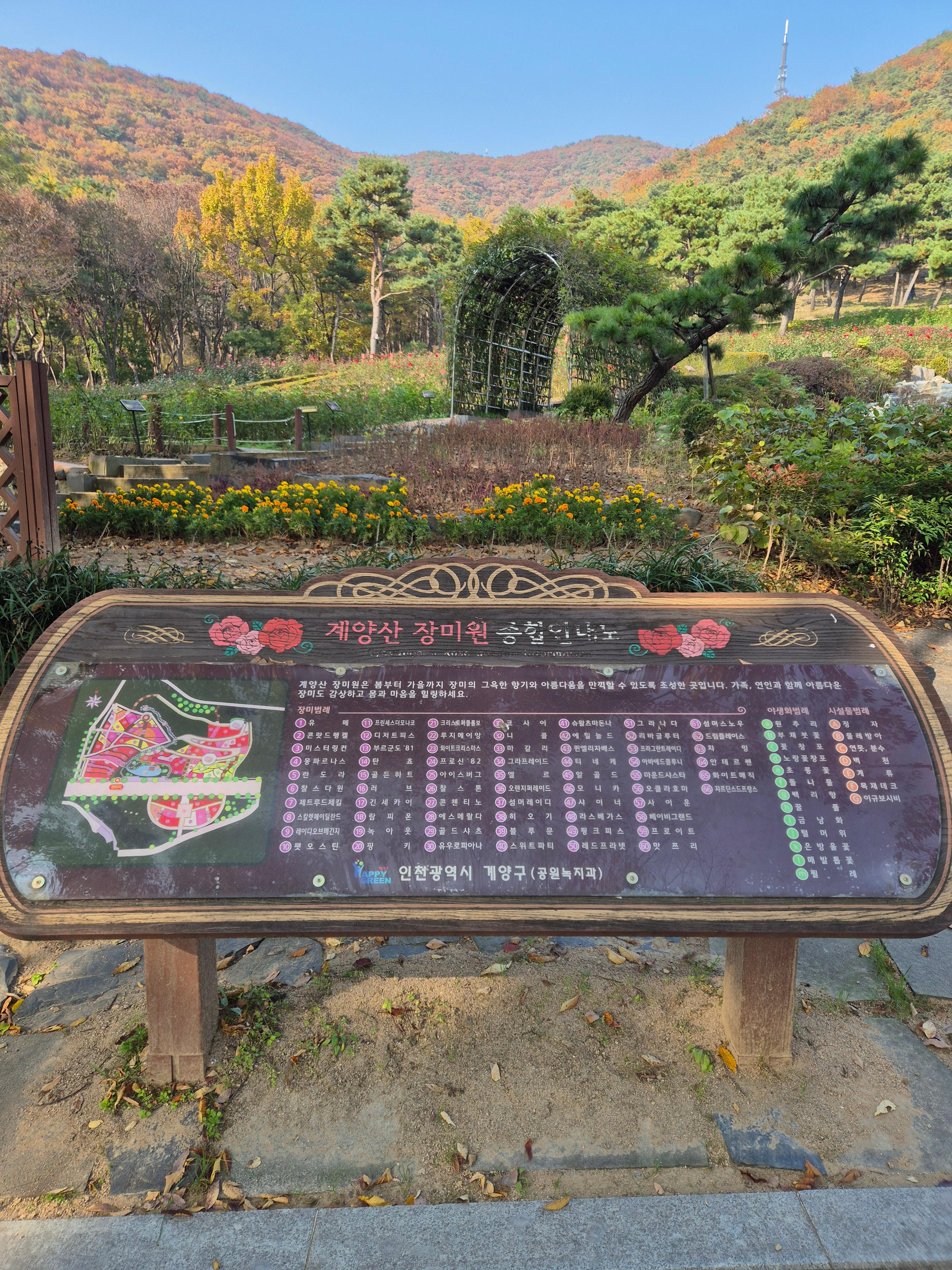 계양산 인천둘레길 내려오는 길