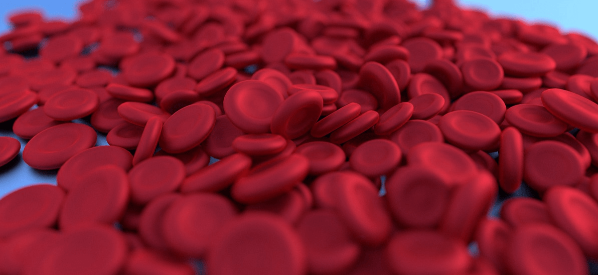 철분 부족 증상과 관련된 사진 - 14