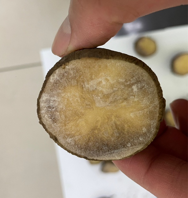 절단면 굳은 모습