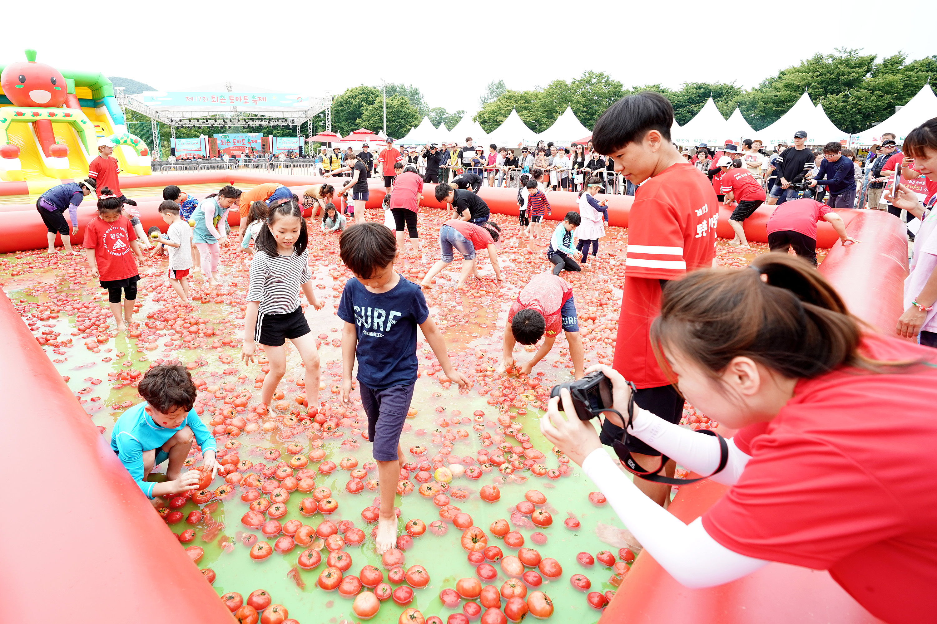 퇴촌토마토거리축제 관련 사진