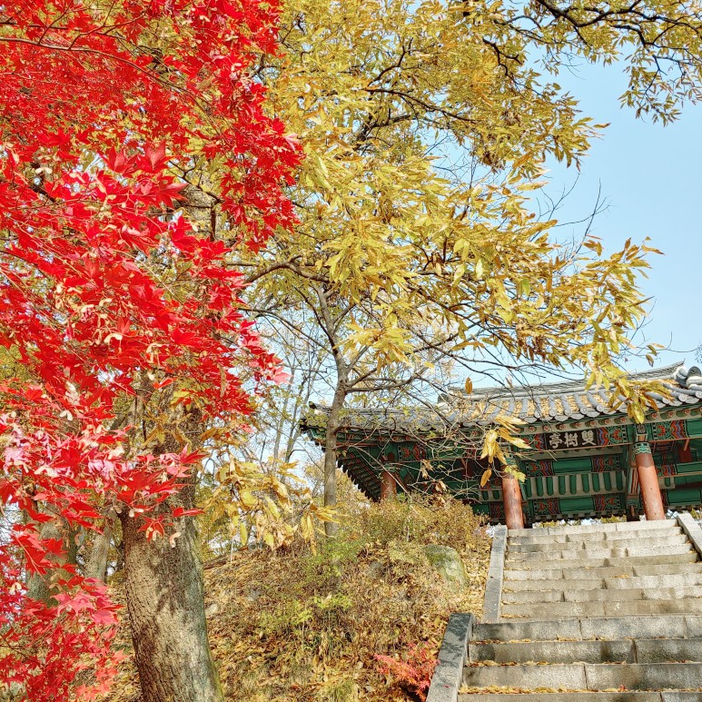 단풍명소