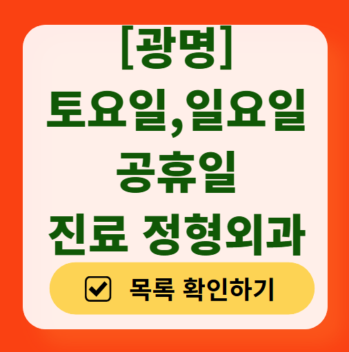 광명시 일요일 문 여는 정형외과 목록 ❘ 토요일, 주말, 공휴일 진료 영업 병원 리스트