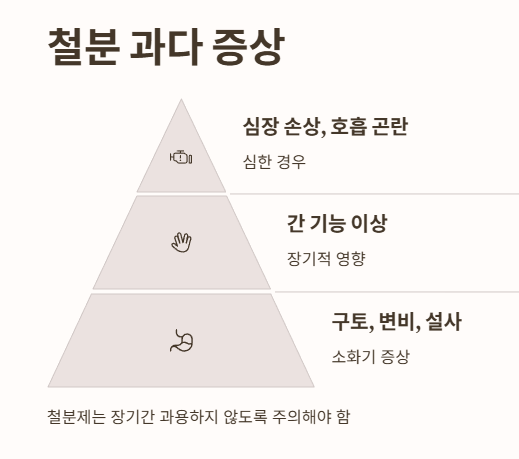 철분 과다 증상