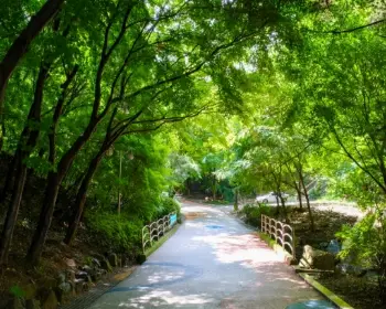 서울대공원 캠핑장_3