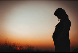 난자동결 시술비 지원