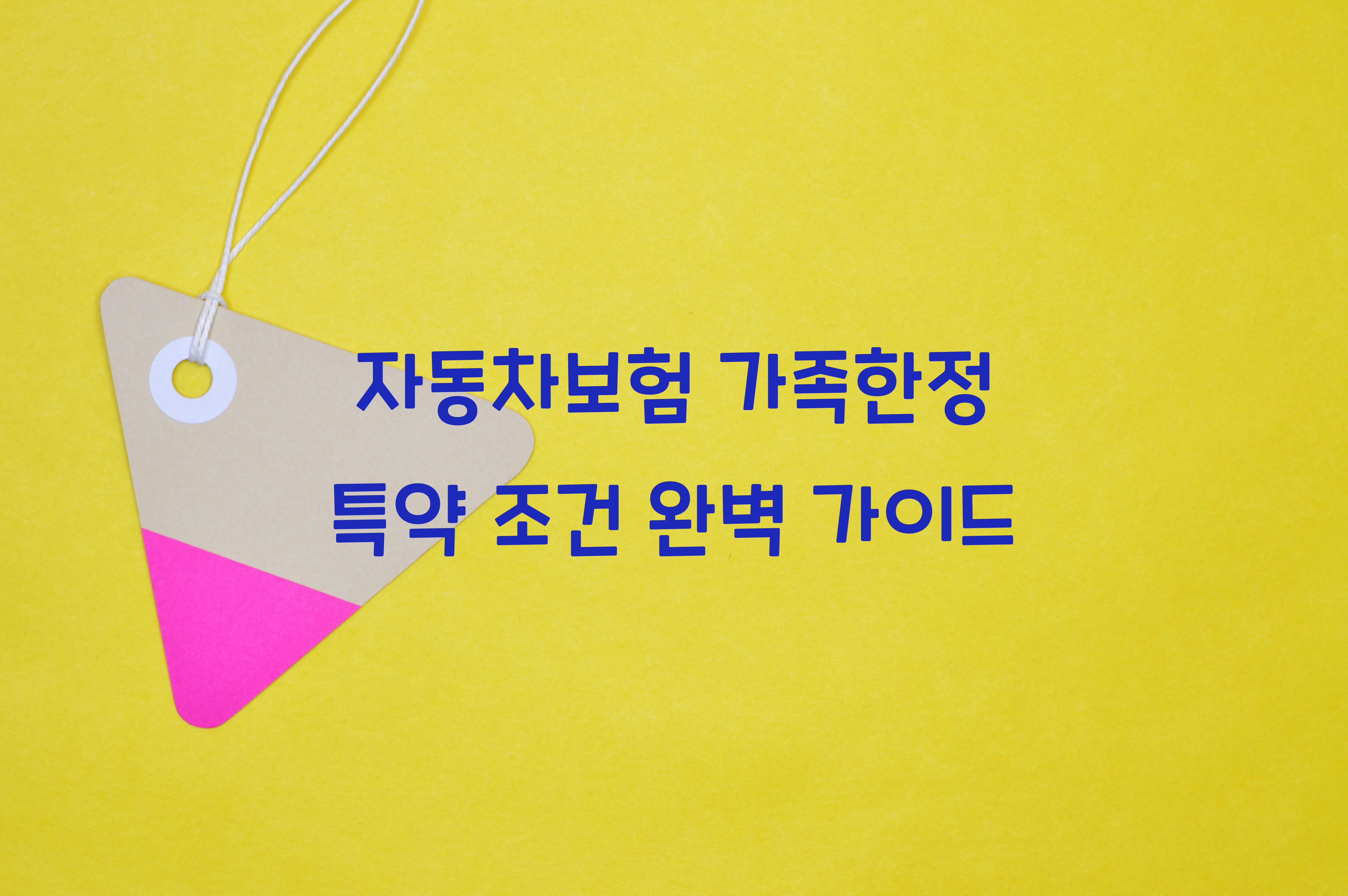 자동차보험 가족한정 특약 조건