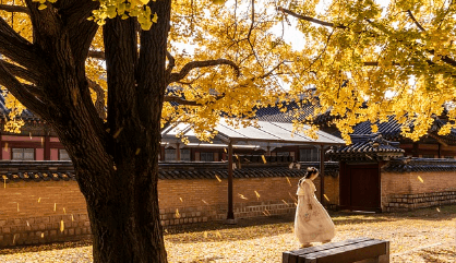 청와대 관람신청