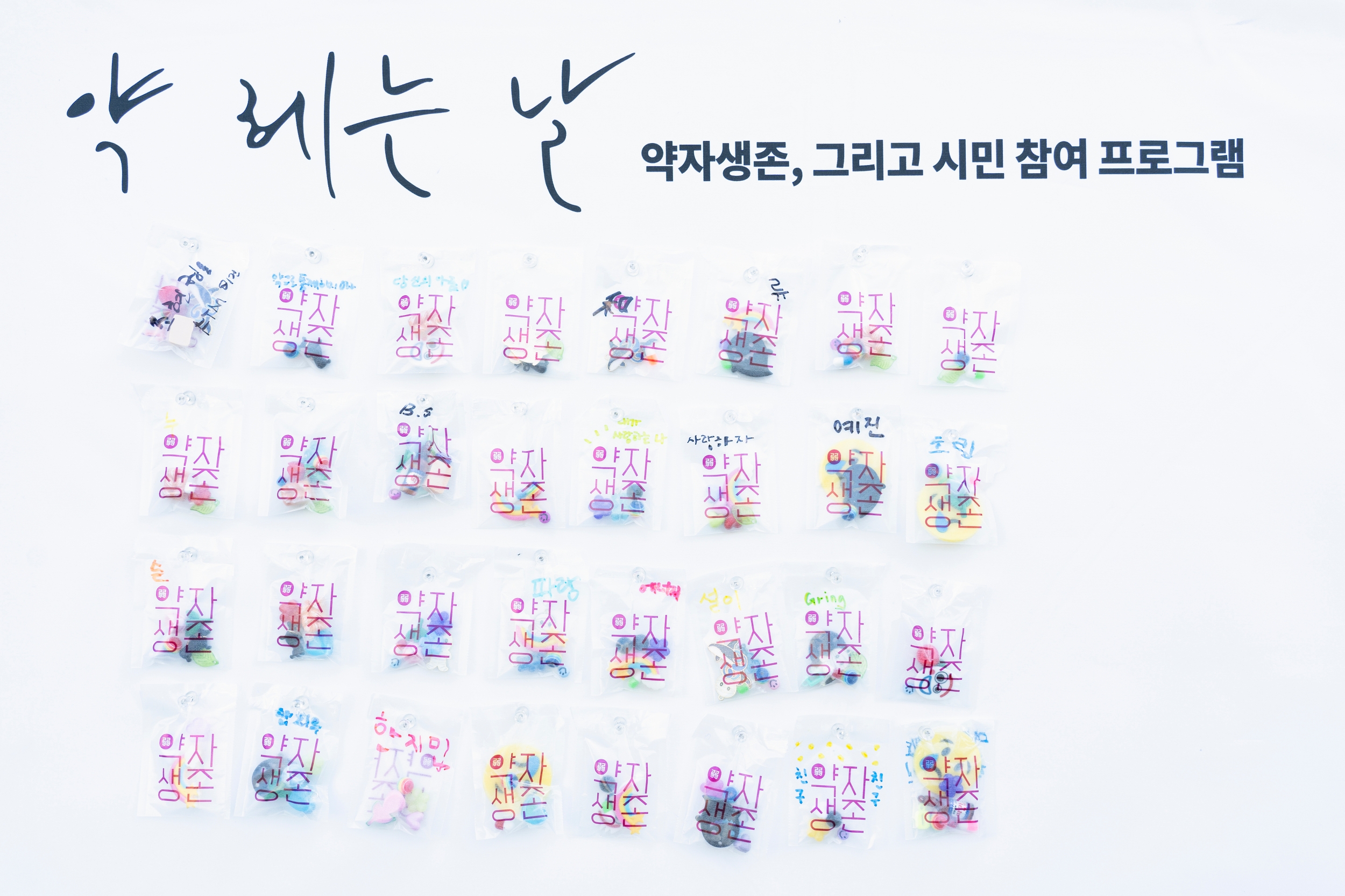 다양한 종류의 모형이 들어간 약포지가 일렬종대로 캔버스에 고정되어 있다. 어떤 개체는 이름과 메시지가 적혀 있다. 캔버스 타이틀은 &lt;약 헤는 날 약자생존&#44; 그리고 시민 참여 프로그램&gt;이다.