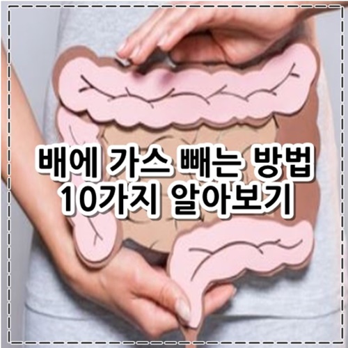 배에 가스 빼는 방법 10가지 정리