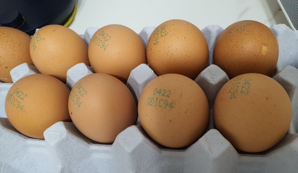 판에-담겨있는-계란