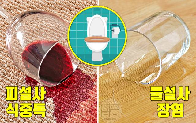 식중독 증상 식중독 장염 차이 피설사 물설사 피똥