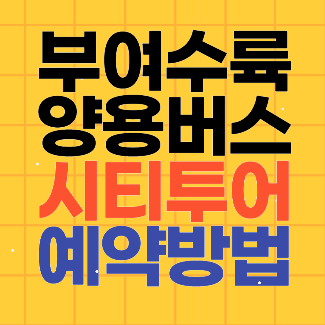 부여 수륙양용버스 시티투어 할인 예약방법