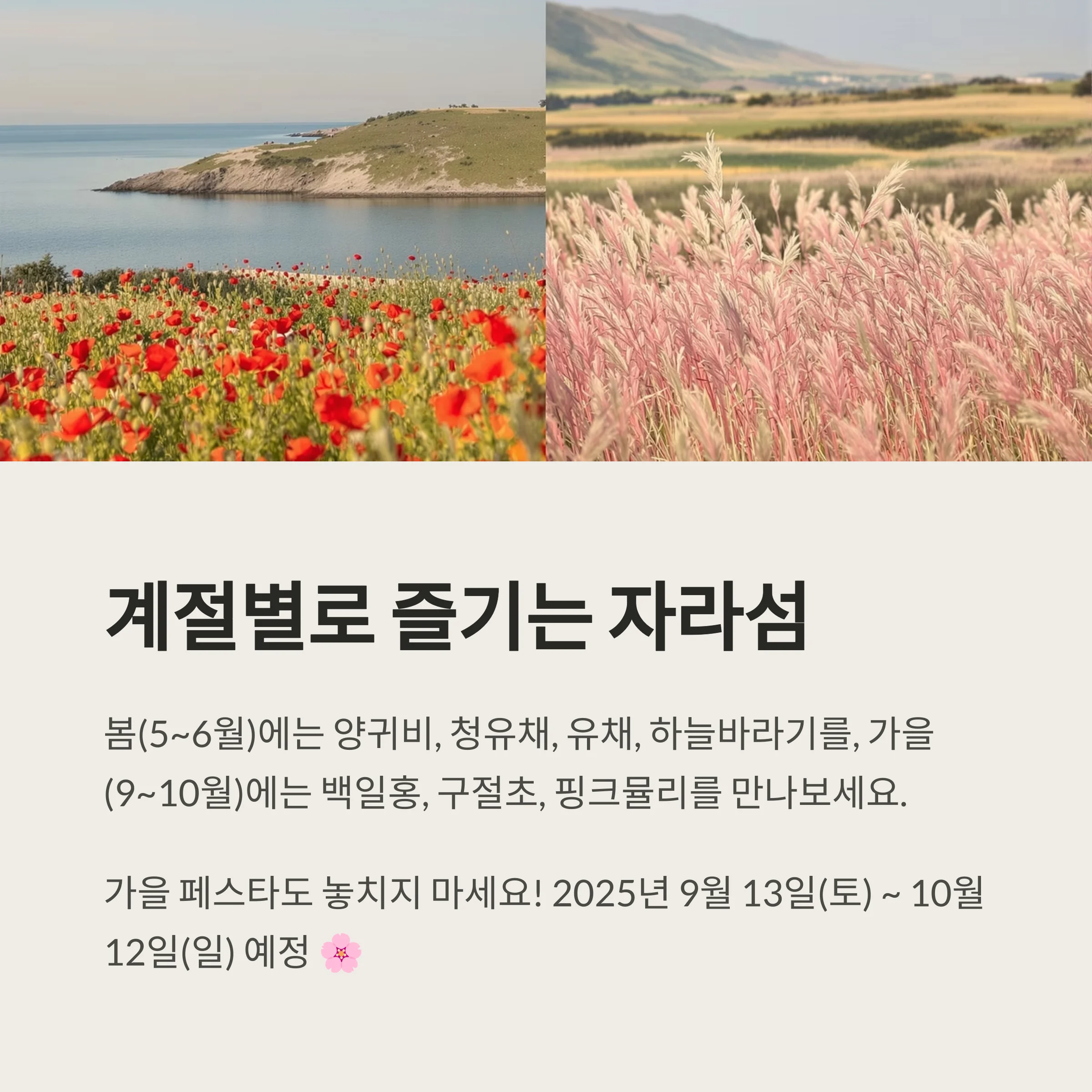 가평 자라섬 꽃페스타