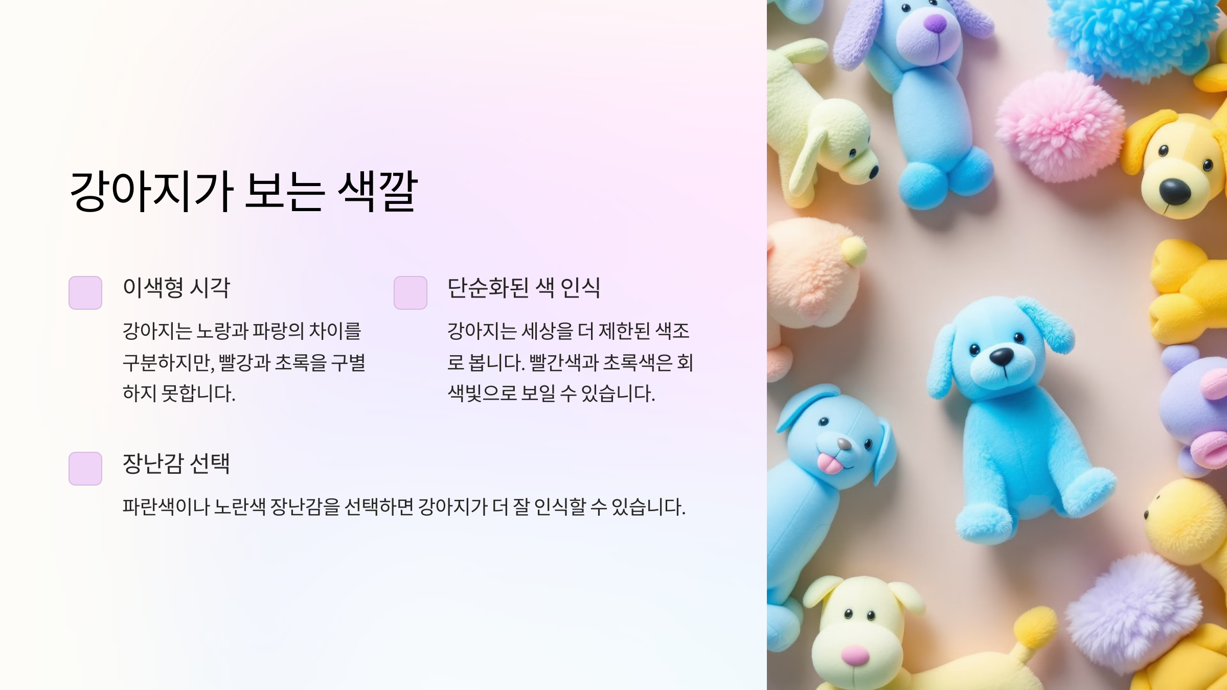 강아지가 보는 색깔