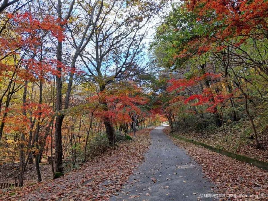 거창 가볼만한곳 베스트10