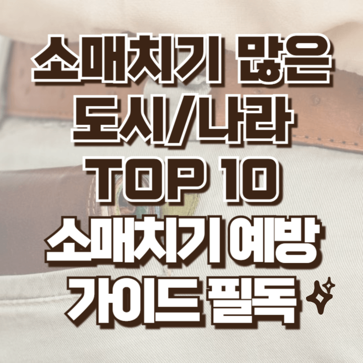 소매치기 많은 도시와 나라 소매치기 예방법