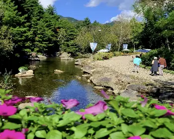 인제 가을꽃축제_8