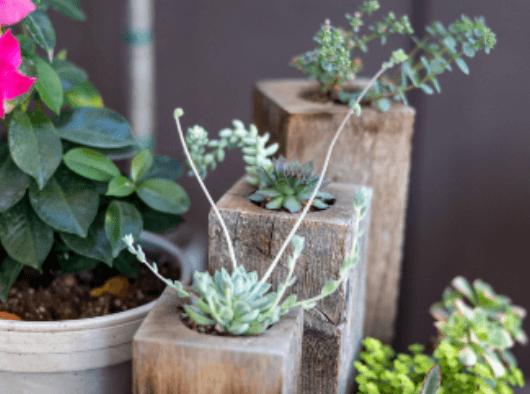 한전 전기요금조회