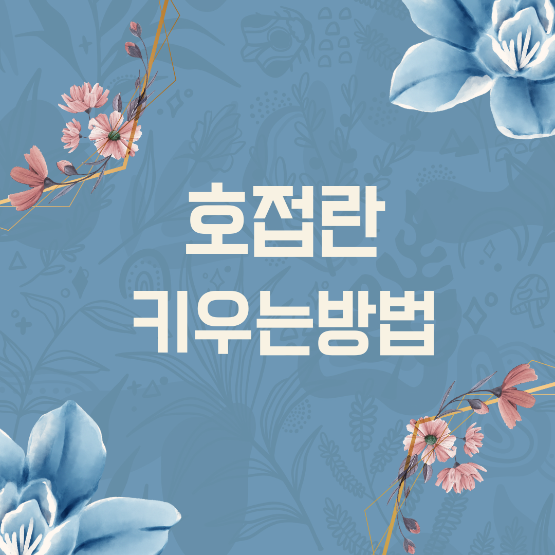 호접란 키우는 방법