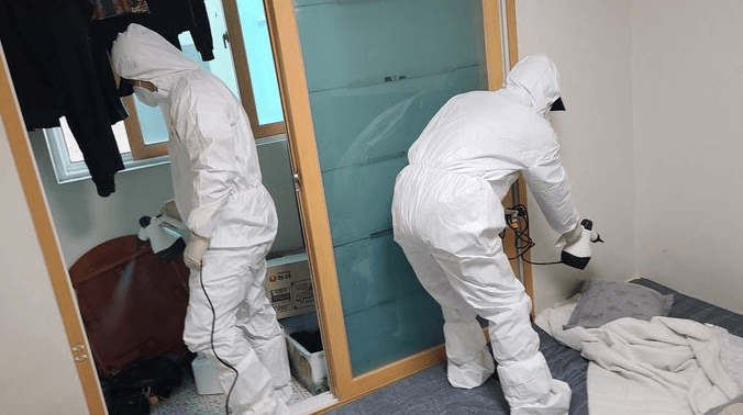 충북 충주 빈대 발견 퇴치법 질병관리청