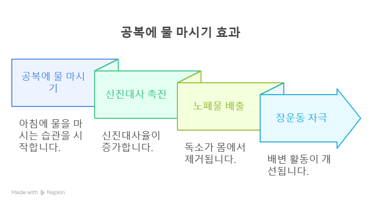 물 마시기 효과