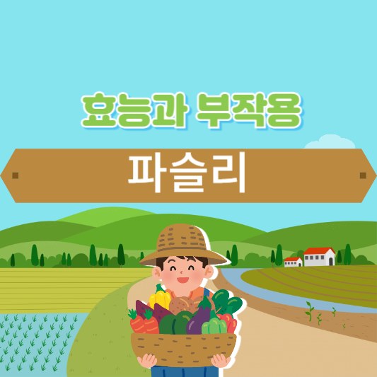 파슬리의 효능과 부작용