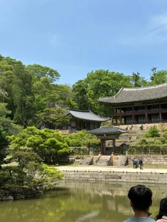 5월 창덕궁 응봉산 수도권 꽃구경 10선_22