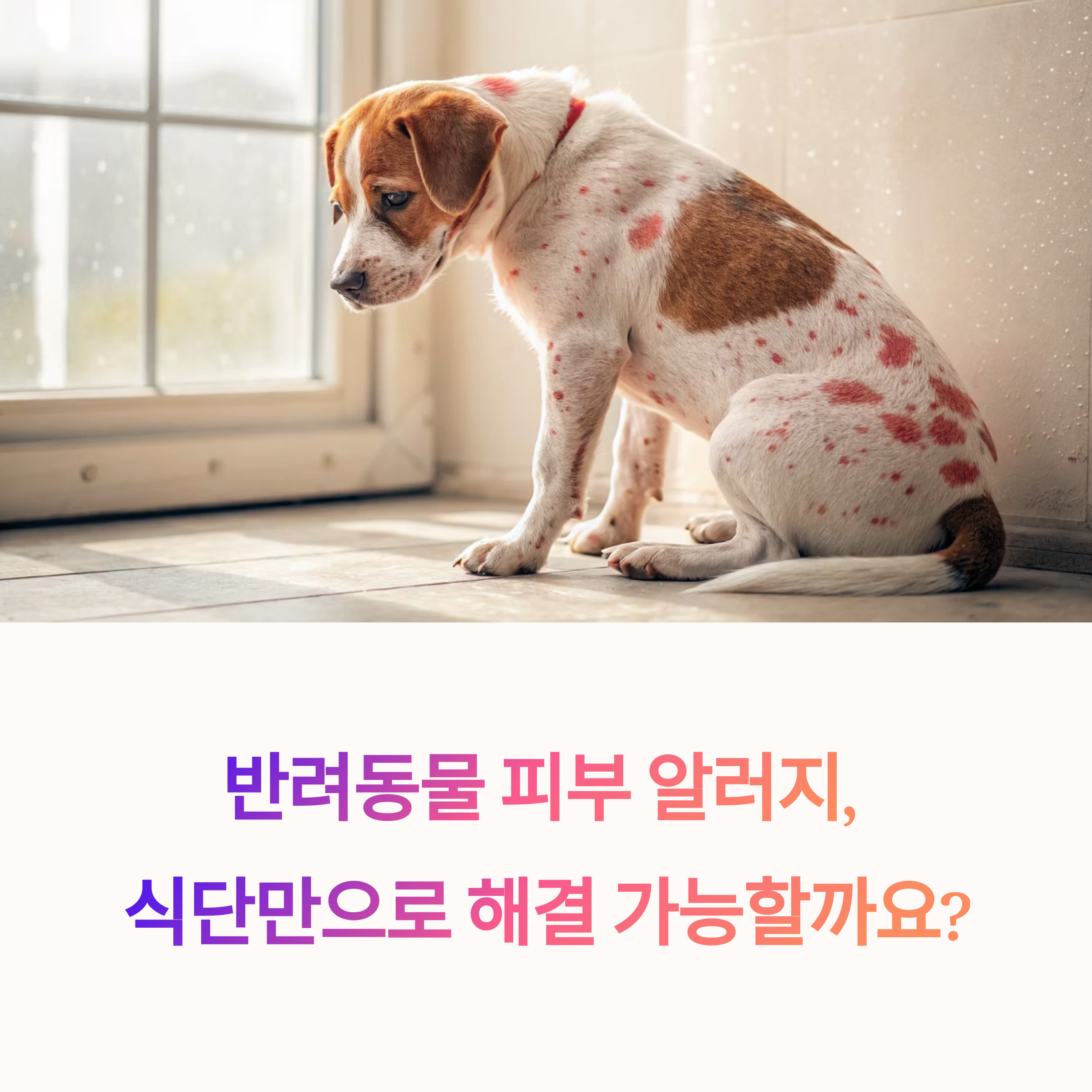 식단만으로 가능한지 확인하기