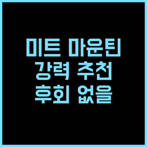 미트 마운틴 호텔 강력 추천 후기! ..