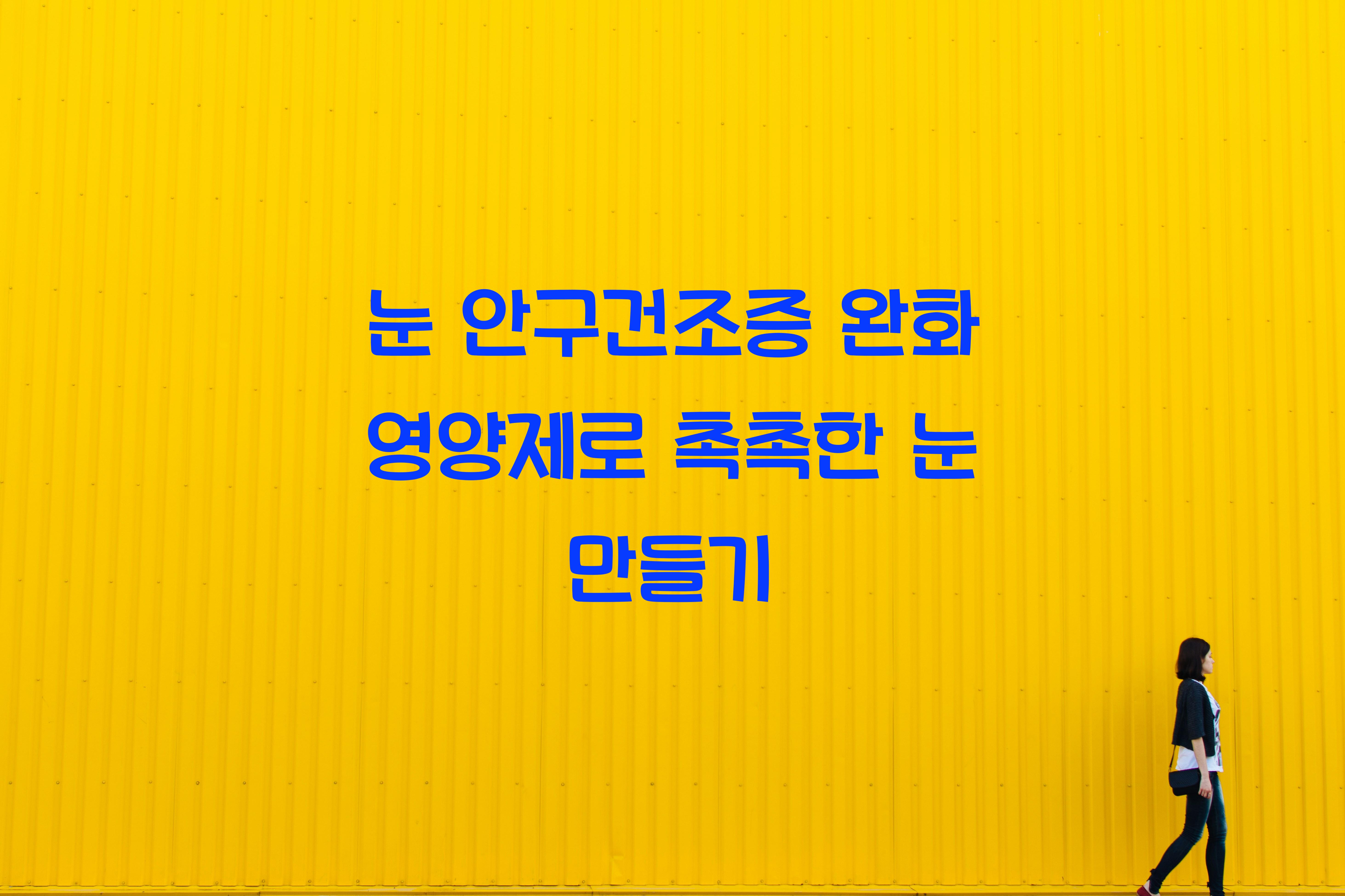 눈 안구건조증 완화 영양제