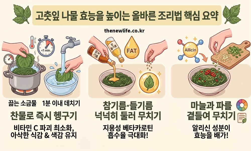 고춧잎 나물 효능 높이는 조리법