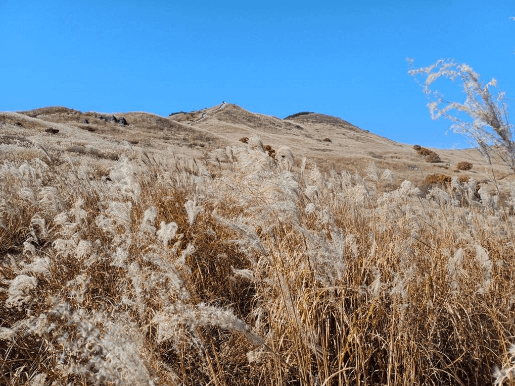 황매산 등산코스