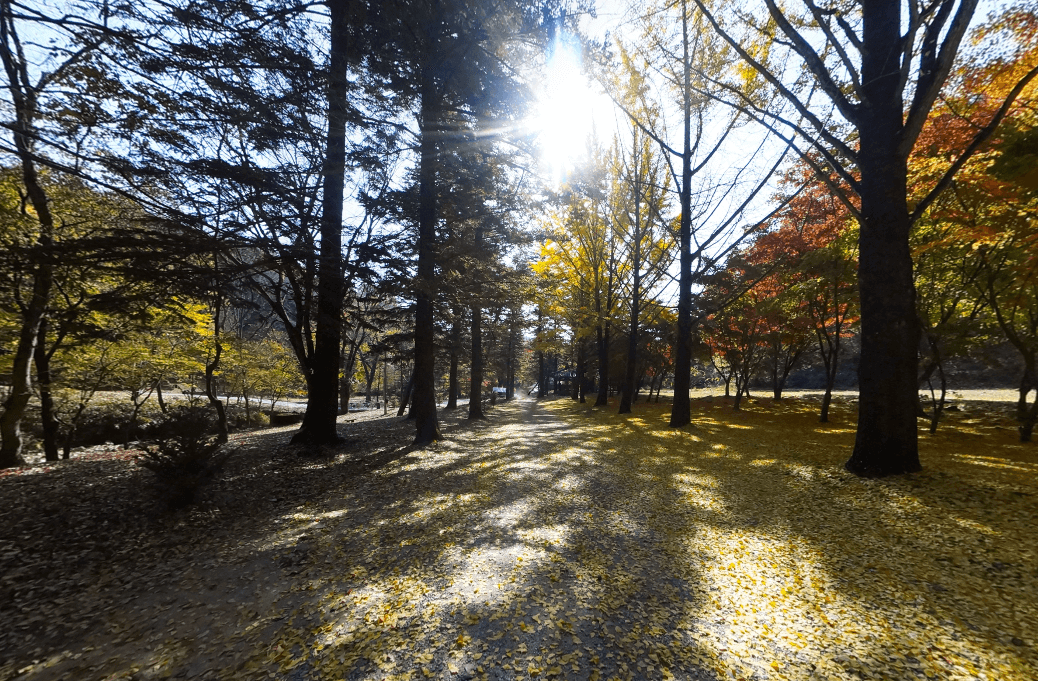 보석사(寶石寺) 천년고찰의 고즈넉함과 자연의 조화