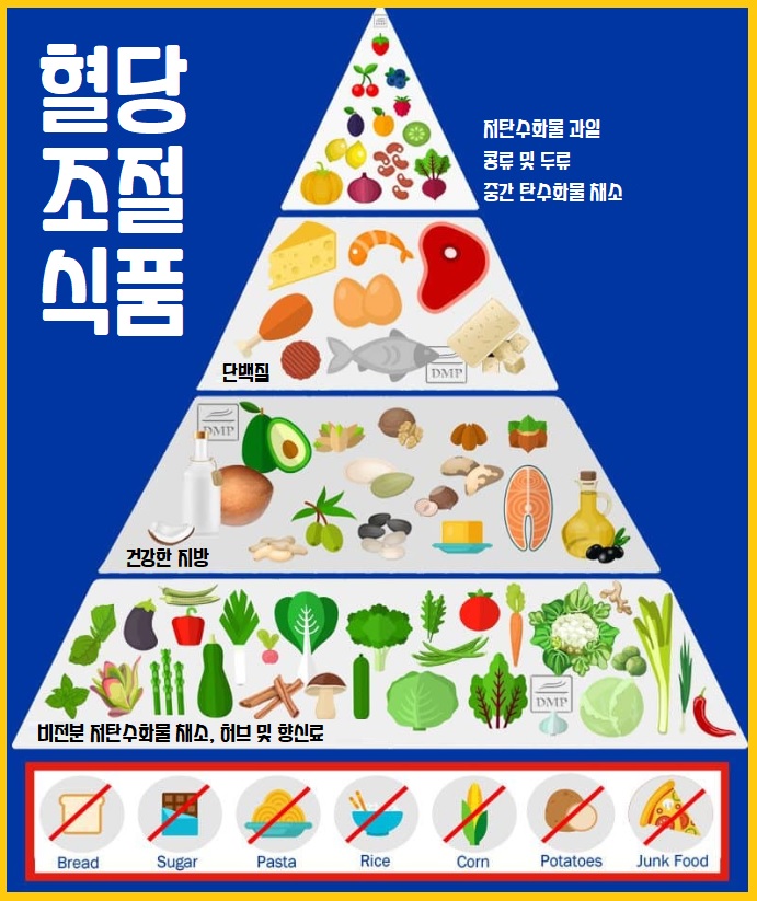 혈당안전식품 혈당조절 식품 혈당 조절 식단
