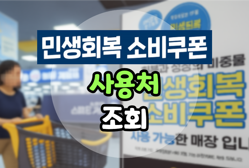 민생회복 소비쿠폰 사용처 조회