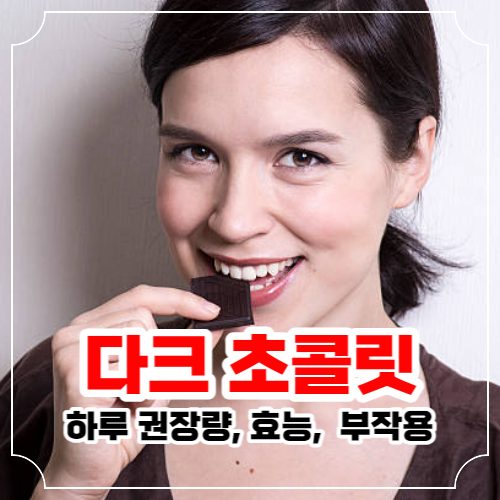다크 초콜릿 하루 권장량 효능 및 부작용