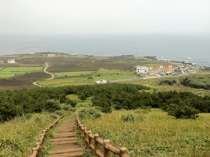 제주도 렌트카 비교 사이트 베스트 7 추천