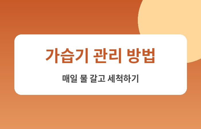 윤남텍 가습기 추천