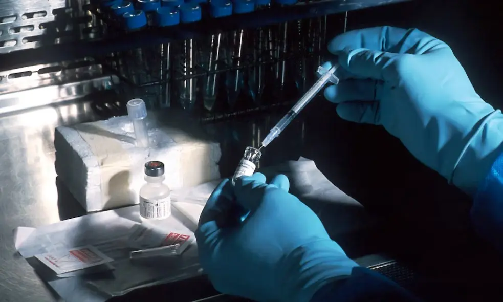 네이처셀 차트 전망 및 알바이오 조인트스템 반려 소식과 신약개발과정 