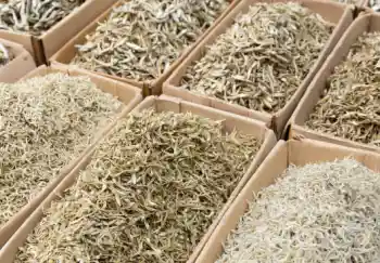 멸치 효능 및 영양성분&amp;#44; 멸치 가격