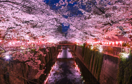 2026 진해군항제