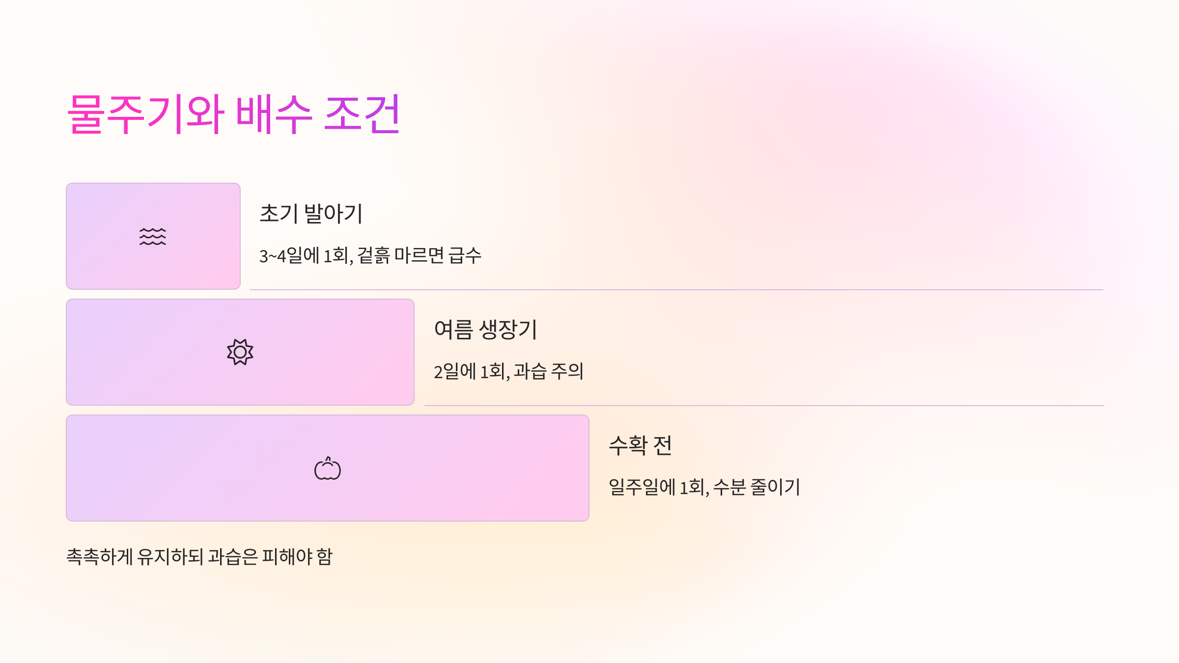 💧 물주기와 배수 조건