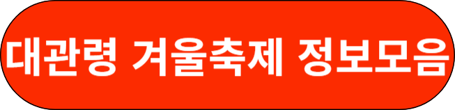 대관령 겨울 축제 정보모음