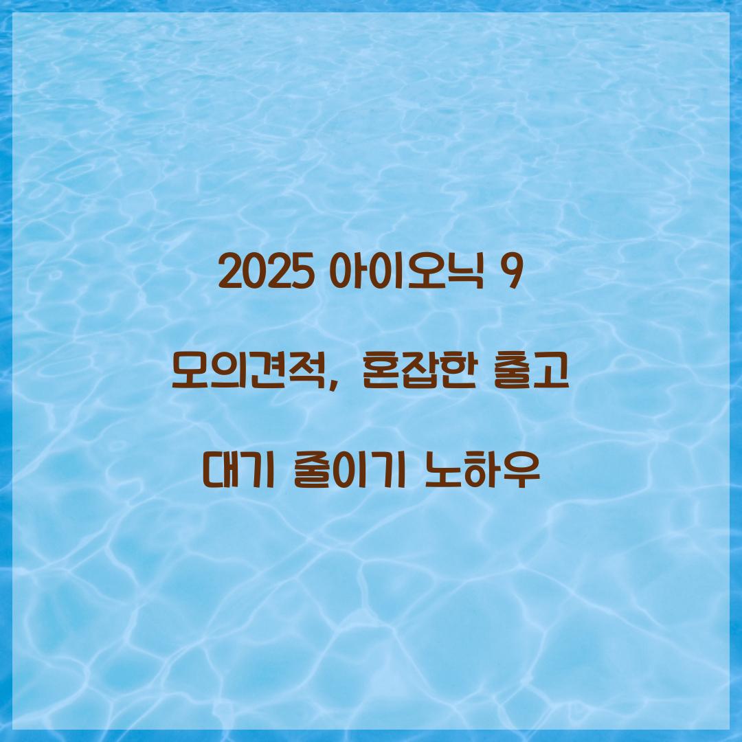 2025 아이오닉 9 모의견적