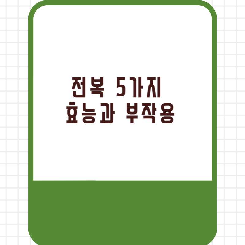 전복 5가지 효능과 부작용