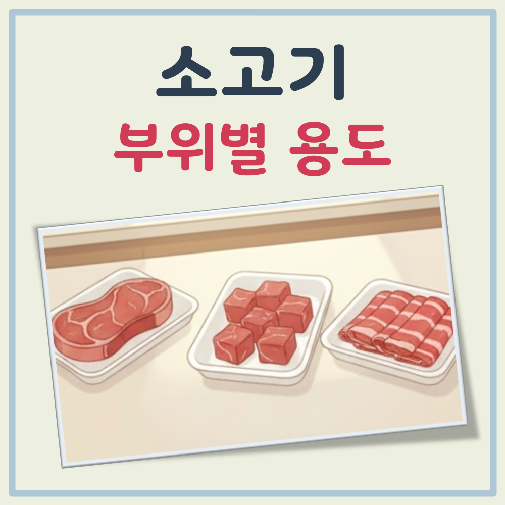 소고기 부위별 용도